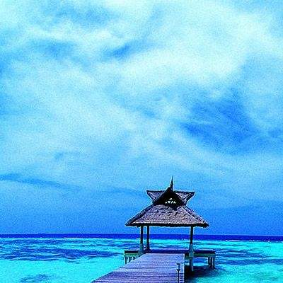 新澳门游戏网站入口app下载